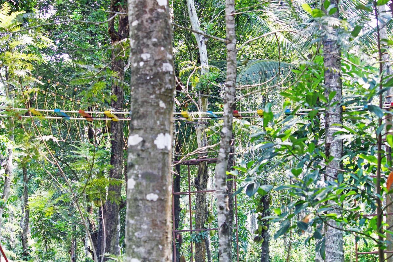 Cs County Resort Sakleshpur Esterno foto